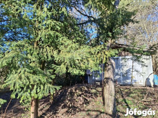 Eladó telek Budakeszi, Csillag utca