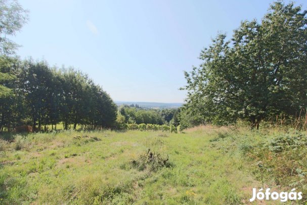 Eladó telek Kőszegdoroszlón gyümölcsöskerttel és kis fa gazd. épület
