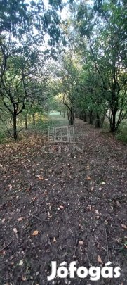 Eladó telek Tata, Naszályi út