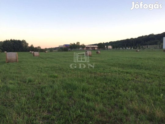 Eladó telek Zalaegerszeg, Nagyméretű, külterületi telek!