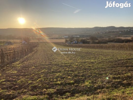 Eladó telek, Balatoncsicsó