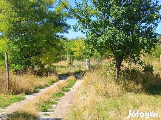 Eladó telek, Balatonfüred Belváros, 112000000 Ft, 2764 nm 36233_v