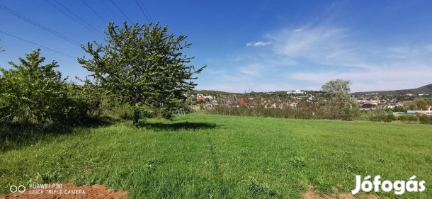 Eladó telek, Budakeszi Darányi, 90000000 Ft, 1036 nm 35998_v