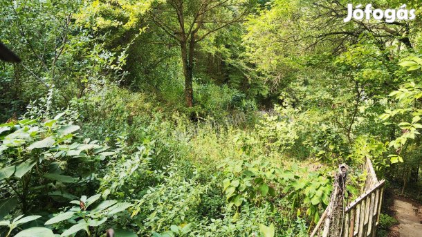 Eladó telek, Budapest, 2. kerület  Máriaremete - II/A, 259000000 8_jib