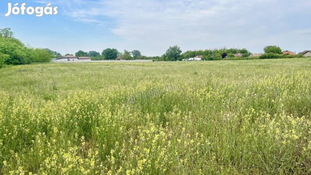 Eladó telek, Dabas, 185000000 Ft, 20196 nm