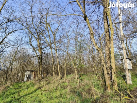 Eladó telek, Inárcs, Fecske utca , 14990000 Ft, 2394 nm