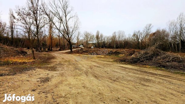 Eladó telek, Martonvásár Martonvásár, 103877600 Ft, 3167 nm 36084_v
