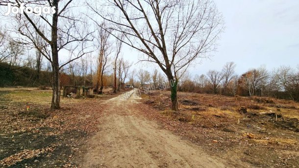 Eladó telek, Martonvásár Martonvásár, 70980000 Ft, 2100 nm 36086_v