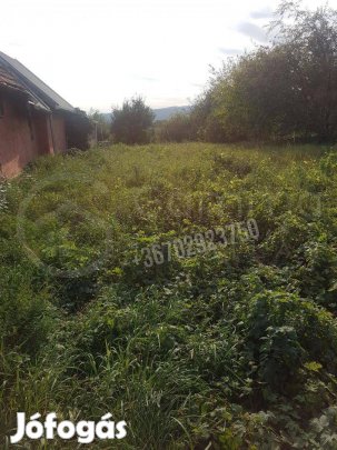 Eladó telek, Miskolc Belváros, 4500000 Ft, 1750 nm 742_gaimp