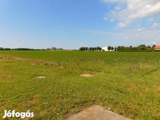 Eladó telek, Mohács Mohács, 100000000 Ft, 10000 nm 770_sri