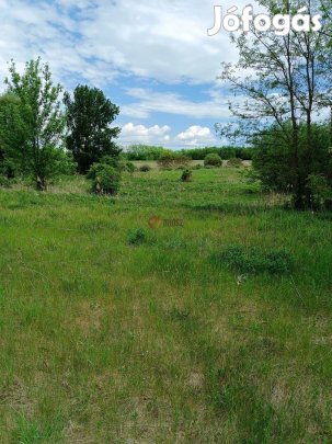 Eladó telek, Őrbottyán, 22000000 Ft, 11000 nm 13428_bhv