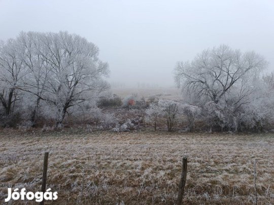Eladó telek, Őrbottyán, 98000000 Ft, 100000 nm 13430_bhv