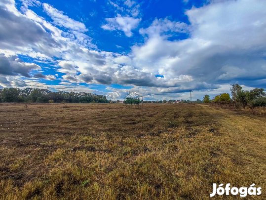 Eladó telek, Örkény Örkény, 350000000 Ft, 133025 nm