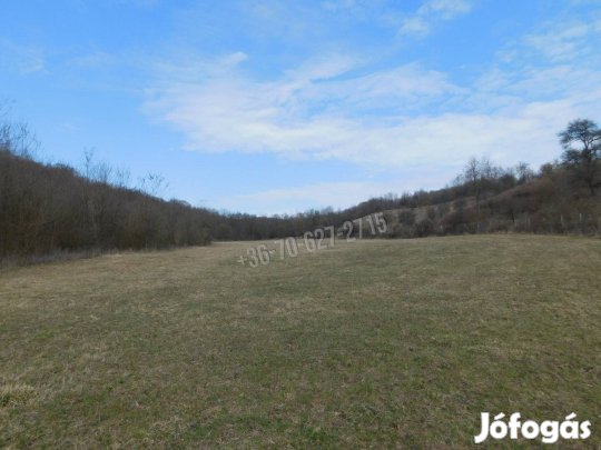 Eladó telek, Sirok, 14900000 Ft, 69000 nm 141_jh