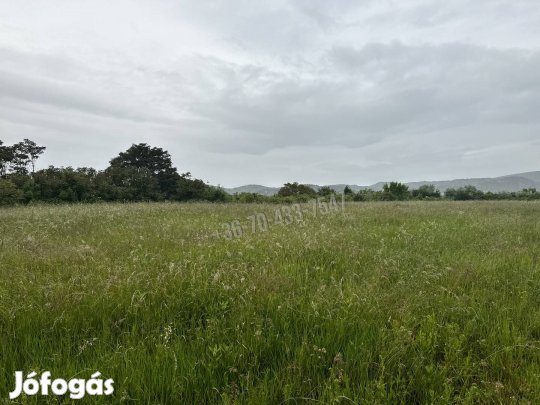 Eladó telek, Törökbálint, 51475000 Ft, 1 nm 36060_v