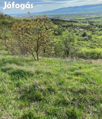Eladó telek, Vác Gombás, 14900000 Ft, 8439 nm 1875_pl