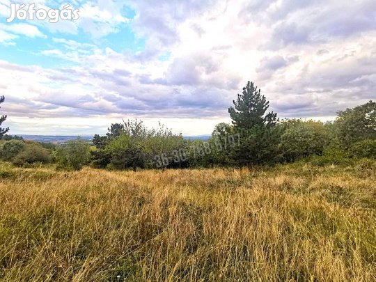 Eladó telek, Vác Gombás, 35000000 Ft, 10000 nm 11962_bhi