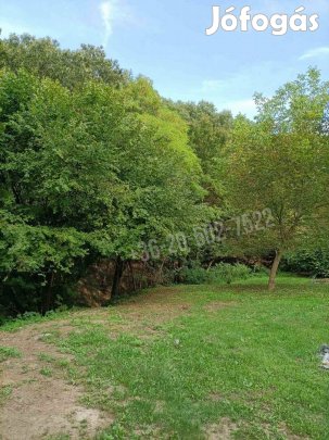 Eladó telek, Zebegény Zebegény, 25000000 Ft, 500 nm 11981_bhi