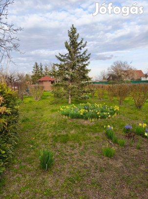 Eladó telek - Besenyszög (Mihályi lapos)