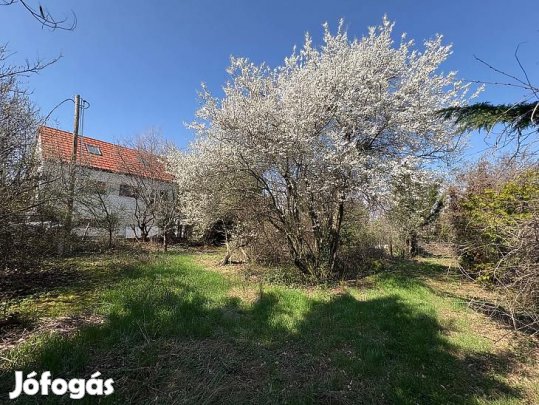 Eladó telek - Budakalász