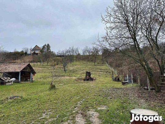 Eladó telek - Vác