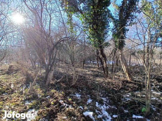 Eladó telek a Bakony lábánál Bakonygyiróton!