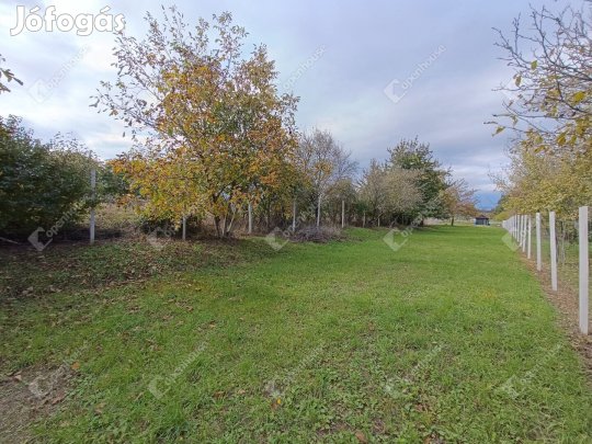 Eladó telek a Virágvölgyben