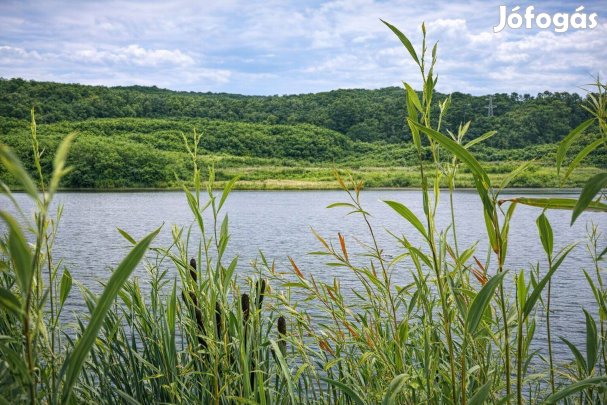 Eladó telek és horgásztó, halastó (Pécs) Rücker-akna