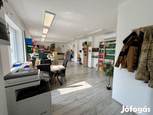 Eladó telephely, Pécsbánya