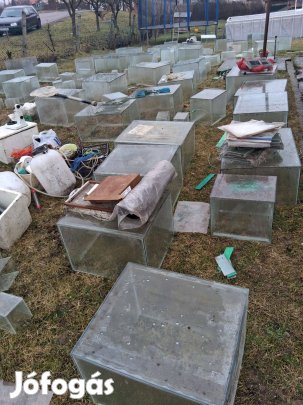 Eladó tenyésztői akváriumok