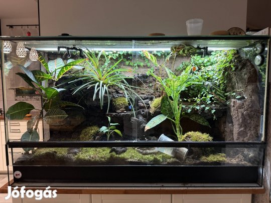 Eladó terrárium