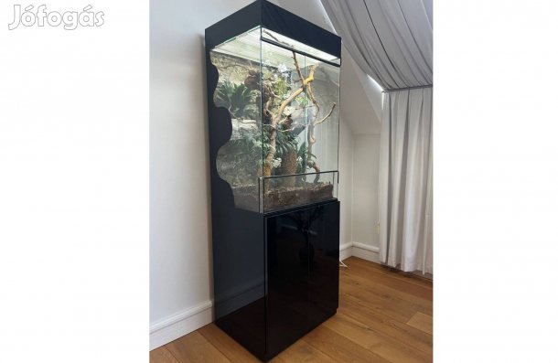 Eladó terrárium szett