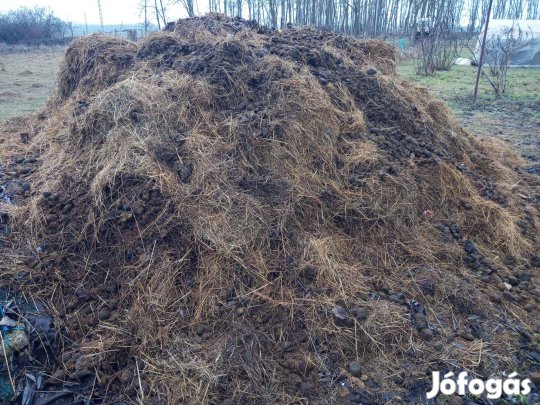 Eladó trágya