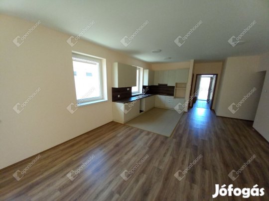 Eladó új építésű családi ház Debrecen Pércsi kertben !