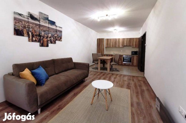 Eladó újszerű lakás Debrecen Belváros