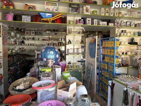 Eladó üzlethelyiség Ágasegyháza