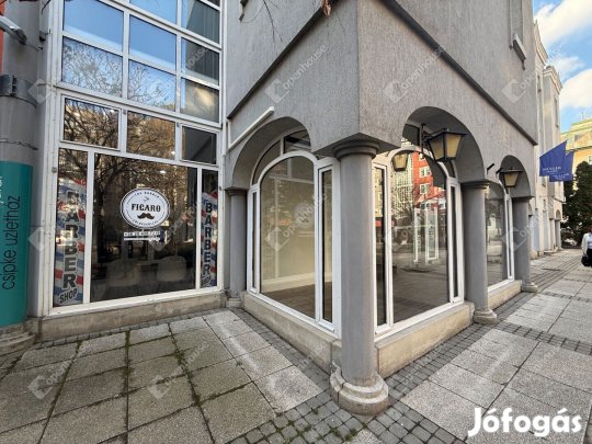 Eladó üzlethelyiség Zalaegerszeg belvárosában  a Csipke Üzletházban