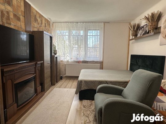 Eladó üzlethelyiség, Székesfehérvár Búrtelep, Erzsébet út, 5590 203_rd