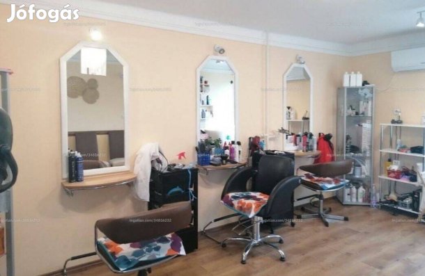 Eladó vállalkozásra és lakhatásra is alkalmas családi ház Tárnokon