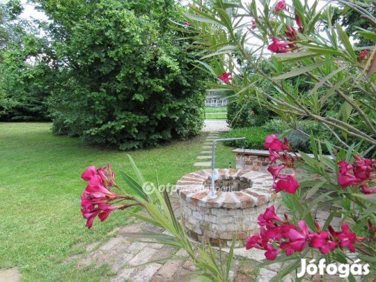 Eladó vendégház, Hajdúnánáson