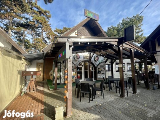 Eladó vendéglátó Balatongyörök, Balatoni panorámával!