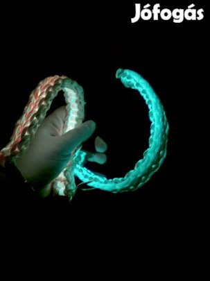 Eladó világítós kutyanyakörv! (Darab) 