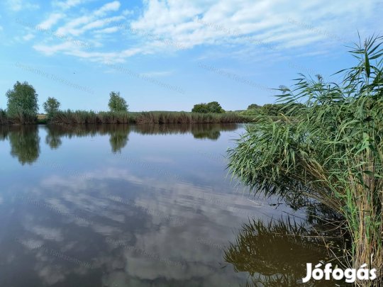 Eladó vízparti telek Tiszapüspöki Holt-Tiszánál!