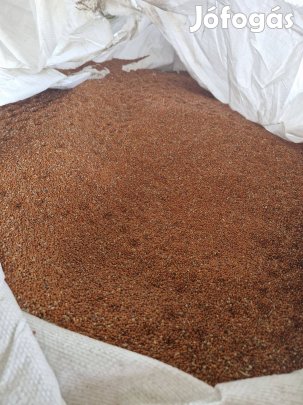 Eladó vörös köles
