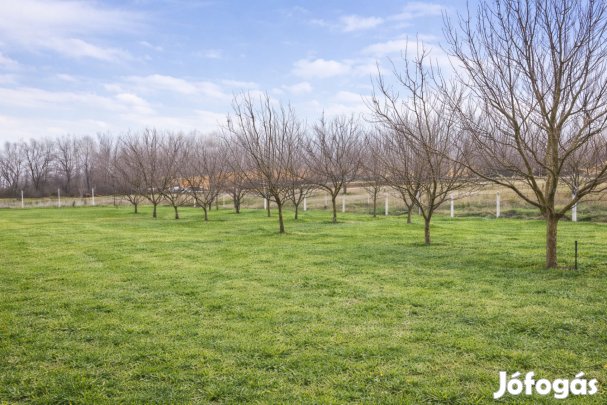 Eladó zártkert, Jászberény