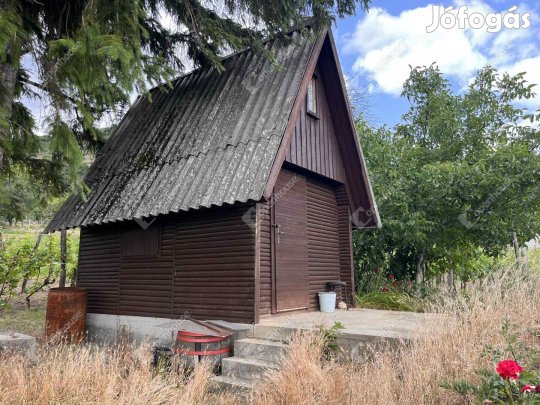 Eladó zártkert szőlővel CsákberényOrondpusztán