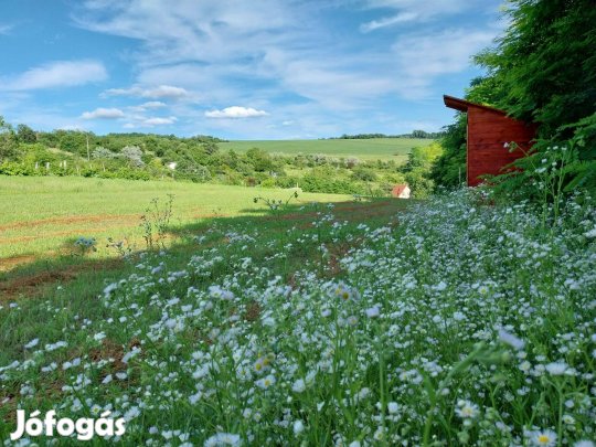 Eladó zártkert vízzel, ipari árammal, lakóautóval Lovasberényben!