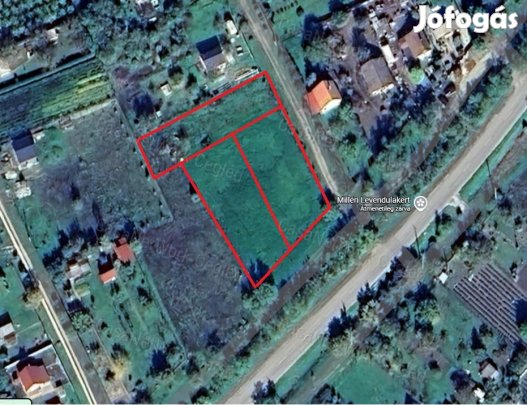 Eladó zártkertek a Mihályi-laposon