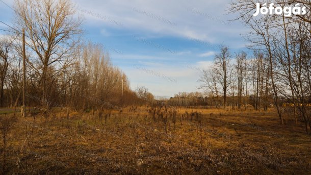 Eladó zöldterület, Tápiószentmárton