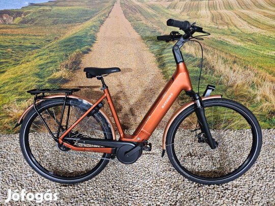 Elektromos Kerékpár Ebike Új Holland Bosch Smart Trekking/Féláron!!